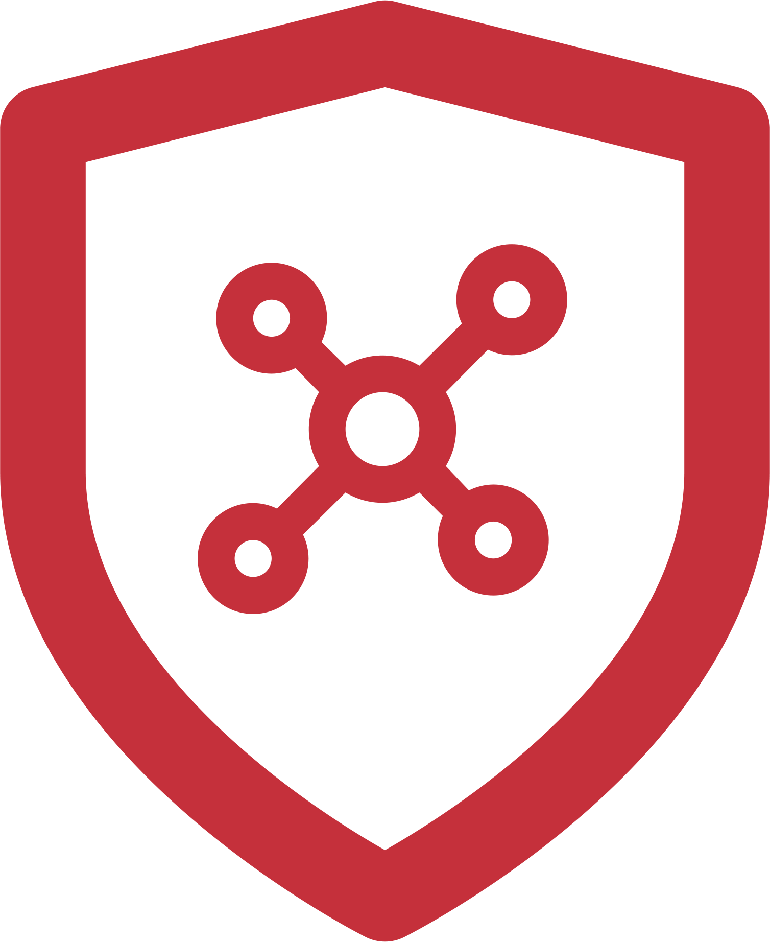 NanoShield Icon